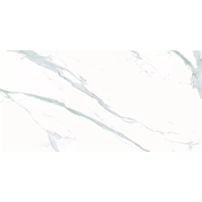 Elite Renoir - porcelain (Floor Tile, Wall Tile, Shower Floor Tile, Polished, Floor, Wall) tile